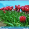 Windows8 Release Previewを動かしてみた