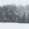 雪による気温差大