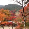 秩父から奥多摩へツーリングのはずが、、、紅葉がキレイです。