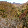 城が倉大橋の紅葉