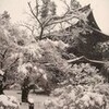 雪の円覚寺