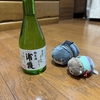 ありのままの姿を見せられるのはこんのすけだけなので人類と付喪神は服を着て文明的な生活をします