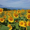 バイクの日はお盆の野辺山で、トンカツにハマる。脱・脱カツ宣言ツー！？