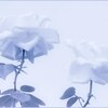 忙しいってアピール、しないとダメですか？