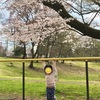 桜と新しいスタート