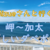 久々の輪行、岬・加太をダベポで満喫！