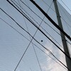 【PC】CD/DVD ドライブが壊れてCDが取り込めなくなってた