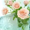 yumiracleの日記