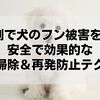 漂白剤で犬のフン被害を一掃！安全で効果的な掃除＆再発防止テク