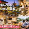 【最新版】京都でペットと泊まれる宿5選｜愛犬・愛猫と快適ステイ！