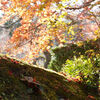 京都　常寂光寺