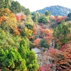 【日本・京都】『清水寺』から望む、美しい秋景色。