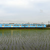 近江鉄道 2024　5/26-27
