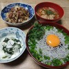 シラス丼とか