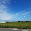 今日の一枚