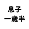 息子の一歳半の記録