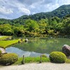 【京都】『天龍寺』に行ってきました。京都旅行 女子旅 