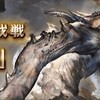 六竜討伐戦「金」ガレヲン　グリムアンチラユリウス無し