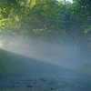 朝霧の光芒