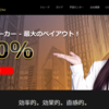 Yバイナリー(Ybinary)を徹底調査