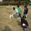 小学生とも遊ぶのだ！