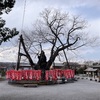 最強龍を祀る今宮神社　今年1番のパワースポットかも？！