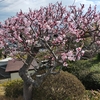 薬局の方が　待たされるって･･･　(^▽^;)