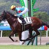 厩舎の先輩・ダイアトニックに続けとばかりに２枠４番と絶好枠。１ハロン延長と左回りは課題になりそうも、自分のリズムを大事にスムーズな競馬を徹して欲しい。素質はヒケを取らず。☆ペースセッティング