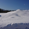 雪は明らかにする。