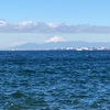 【ラン練習】幕張海沿いジョグ