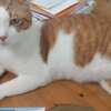 New York City Night