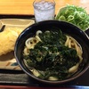 ワカメうどん！