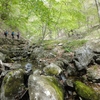 御岳山　〜東京近郊の日帰り登山〜