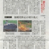 西日本新聞37話 こんなに簡単に炭ができるなんて