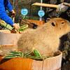 埼玉県こども動物自然公園