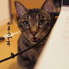 気をつかう。
