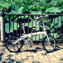 Enjoy-T blog　～自転車とカメラと猫と・・・～