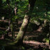 Yatsugatake Snaps 2026_03
