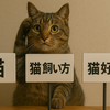 【後編】Googleキーワードプランナーの使い方を初心者向けにやさしく解説｜検索〜分析〜記事構成への活かし方まで