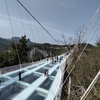 張家界大峡谷 巨大なガラスの吊り橋
