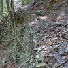 早川沢の杣道（木馬道）　其の６　(完)（静岡県浜松市）