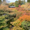 23年11月の東福寺のお話。