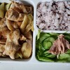 今日のお弁当