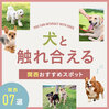 関西の犬と触れ合える場所【関西編】