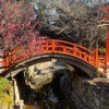 【京都】下鴨神社・糺の森を歩く