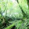 （昔話）屋久島①　白谷雲水峡