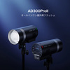 Godox AD300ProII (2025-12-22 更新)