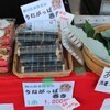 岐阜・多治見の名物「うながっぱ巻き」を販売　市内のまつりにウナギ専門店が協力する