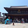 夏の風物詩！