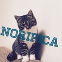 NORIPICA blog